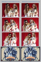 Photo Strips